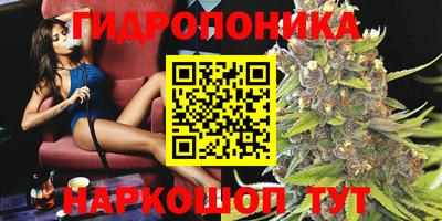 прущие грибы Северобайкальск